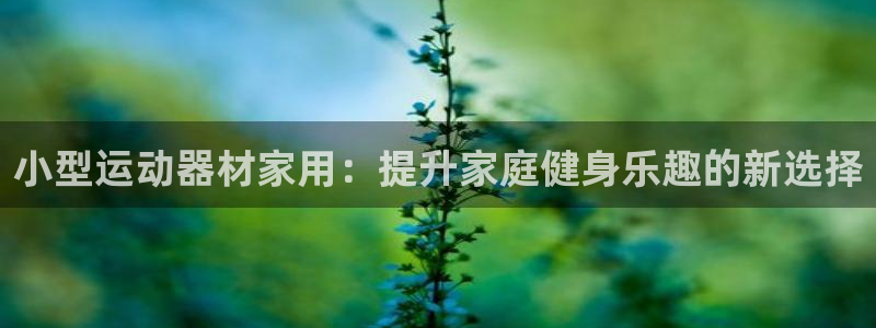 熊猫体育娱乐：小型运动器材家用：提升家庭健身乐趣的新选择