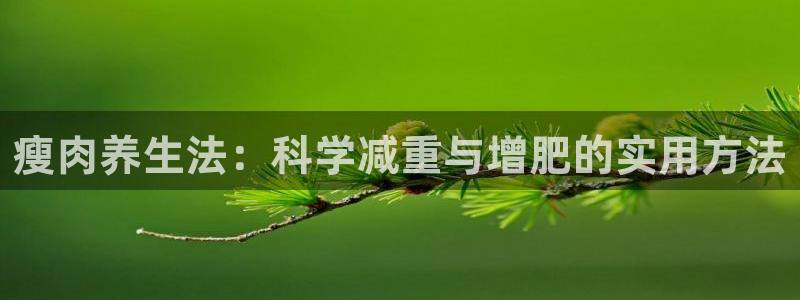 熊猫体育官网：瘦肉养生法：科学减重与增肥的实用方法