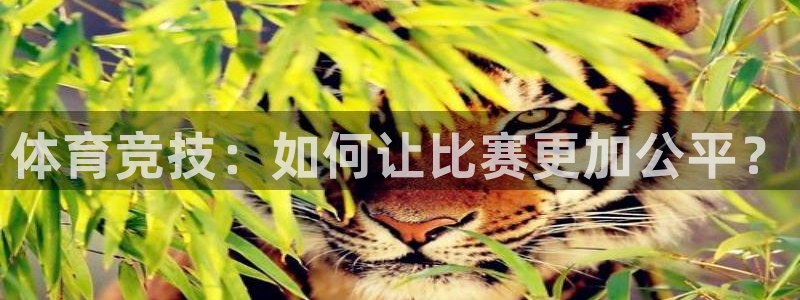 oety欧亿：体育竞技：如何让比赛更加公平？