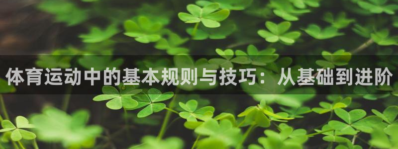oety欧亿：体育运动中的基本规则与技巧：从基础到进阶