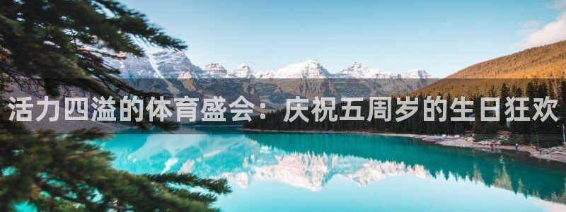 oety欧亿：活力四溢的体育盛会：庆祝五周岁的生日狂欢