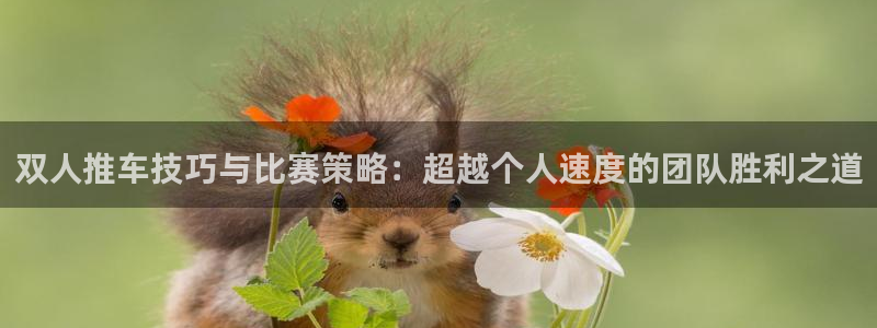 oety欧亿：双人推车技巧与比赛策略：超越个人速度的团队胜利之道