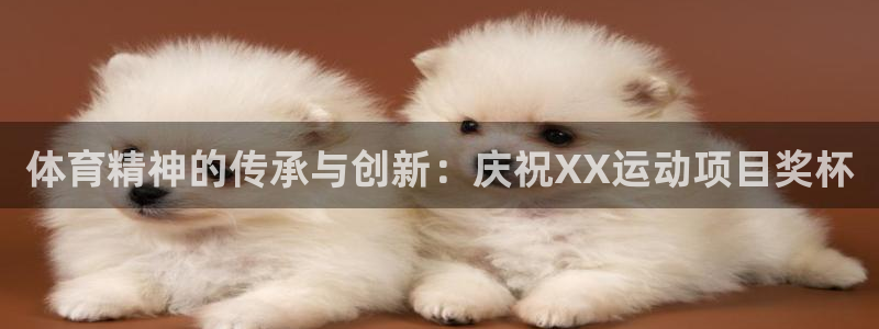 oety欧亿：体育精神的传承与创新：庆祝XX运动项目奖杯