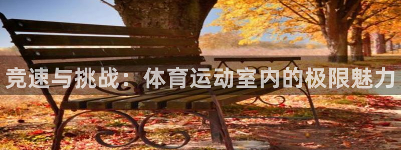 oety欧亿：竞速与挑战：体育运动室内的极限魅力