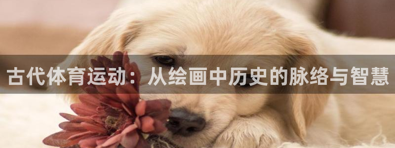 oety欧亿：古代体育运动：从绘画中历史的脉络与智慧