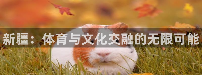 oety欧亿：新疆：体育与文化交融的无限可能