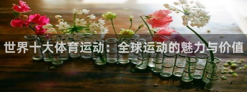 oety欧亿：世界十大体育运动：全球运动的魅力与价值